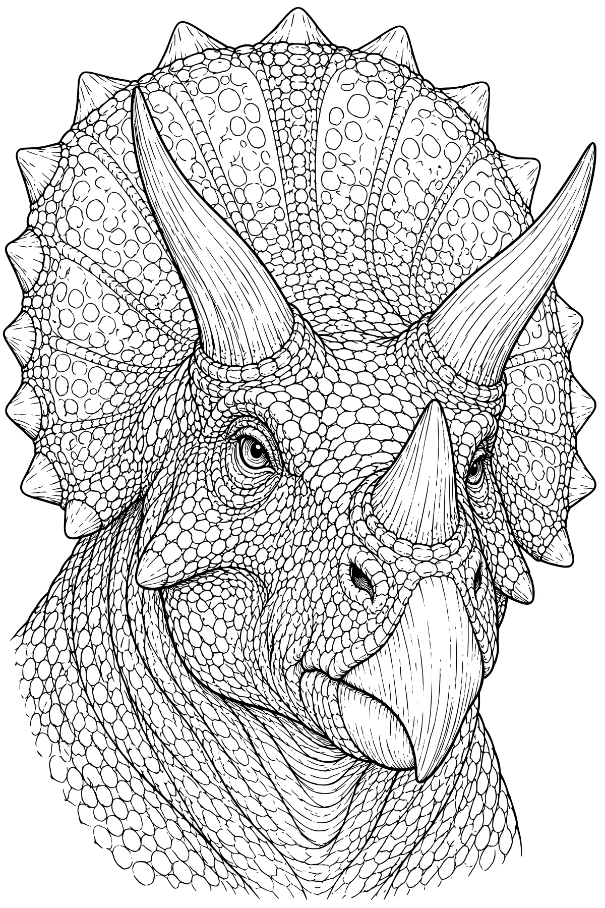 Close-up line art of a triceratops with prominent horns, a broad ridged frill, a curved beak, and detailed scales covering its head and neck.