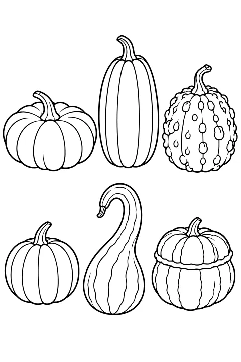 Assorted pumpkins and gourds with ribbed bodies, curved stems, bumpy surfaces, and a long, curved neck, arranged in rows.