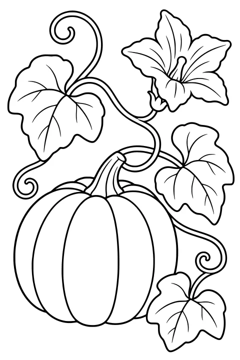 Large ribbed pumpkin surrounded by a looping vine, curled tendrils, broad veined leaves, and an open flower.