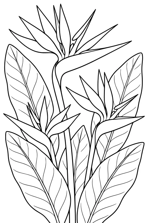 Flowers Coloring Pages (67 Free Printable PDFs) | Crayonest